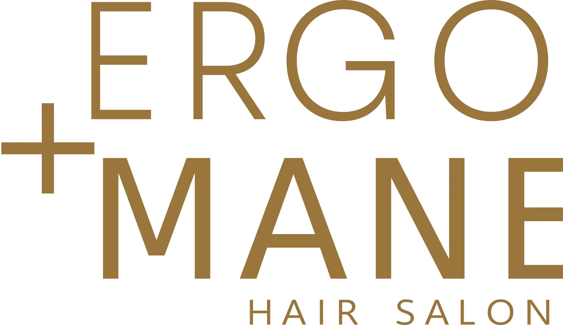 Ergo & Mane